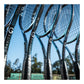 Gravity Team 2025 which is available for sale at GSM Sports
